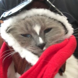 Meet your Posher, Michaela